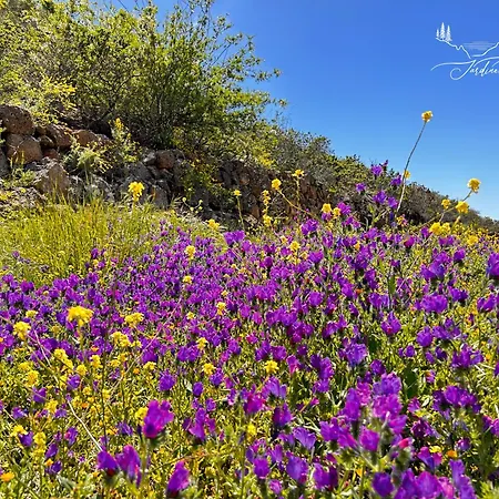 Jardines De 3* Ifonche