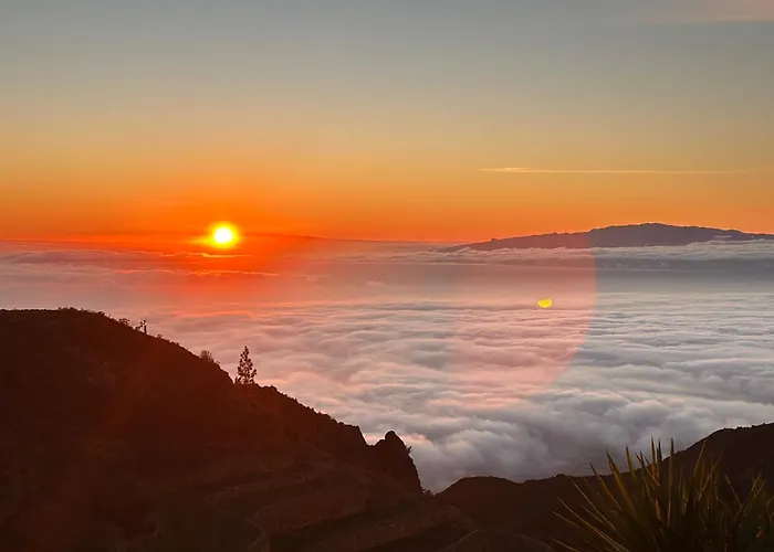 Oda ve Kahvaltı Jardines De 3*