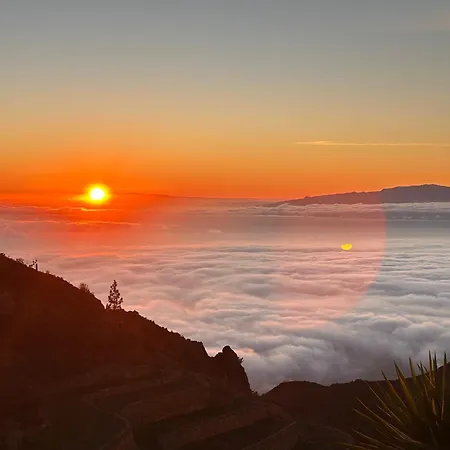 לינה וארוחת בוקר Jardines De 3*