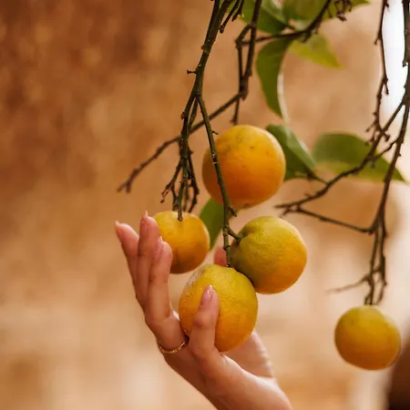 Jardines De לינה וארוחת בוקר 3*