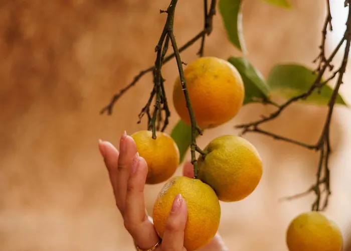 Jardines De Bed & Breakfast 3*